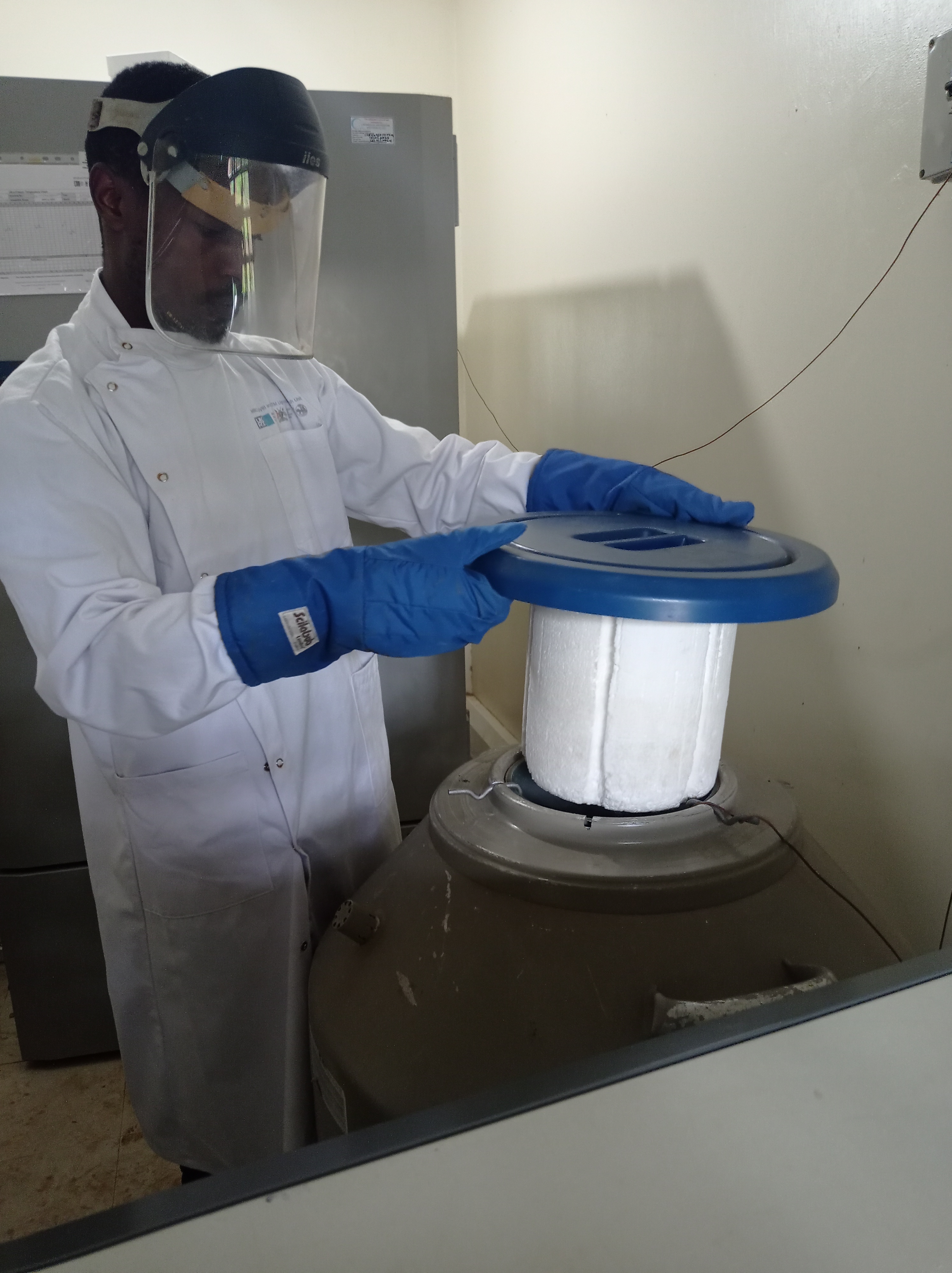 Mambo Medical specialist handling cold-chain samples in PPE